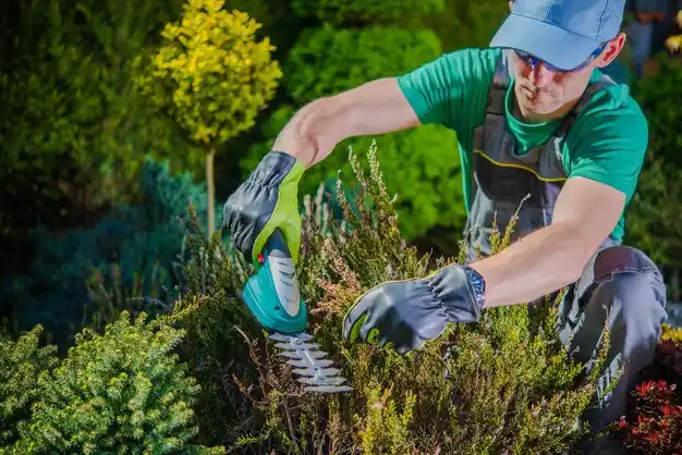 landscaping services Louisville